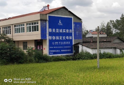 商丘决定墙体广告价格的因素有哪些?
